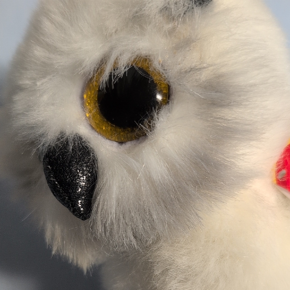 🌈5/$20🌈Bundle!😍Ty The Beanie Boo's Collection Owl - Austin 2022 - Picture 13 of 14